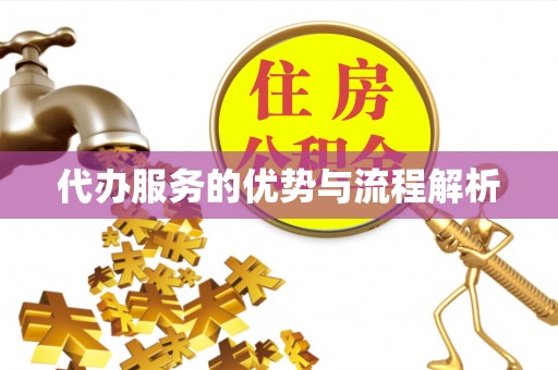 赣县代办服务的优势与流程解析