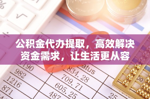 赣县公积金代办提取，高效解决资金需求，让生活更从容
