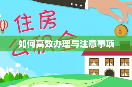 赣县如何高效办理与注意事项