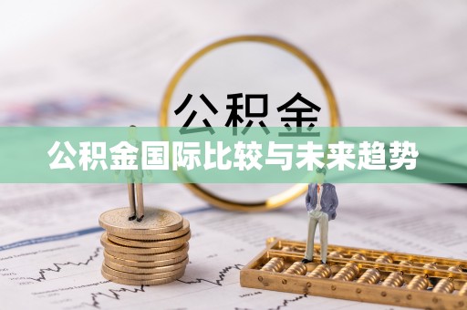 赣县公积金国际比较与未来趋势