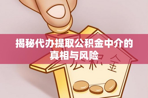 赣县揭秘代办提取公积金中介的真相与风险