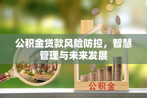 赣县公积金贷款风险防控，智慧管理与未来发展
