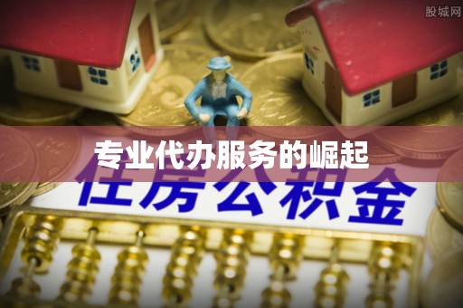 赣县专业代办服务的崛起