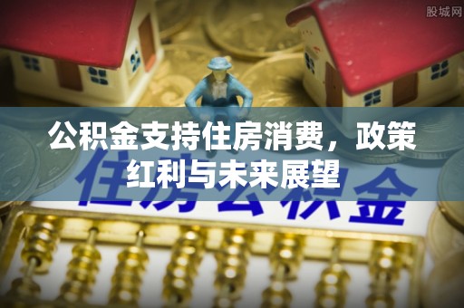 赣县公积金支持住房消费，政策红利与未来展望