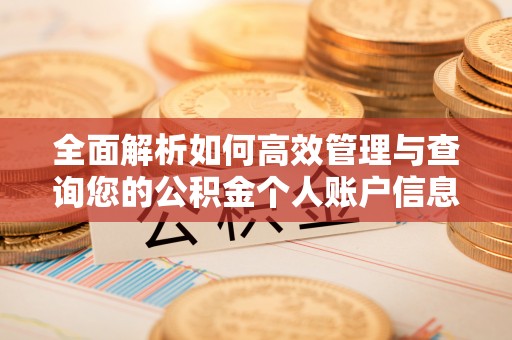赣县全面解析如何高效管理与查询您的公积金个人账户信息
