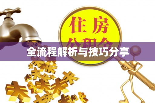 赣县全流程解析与技巧分享